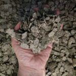 Beet Pulp for Horses