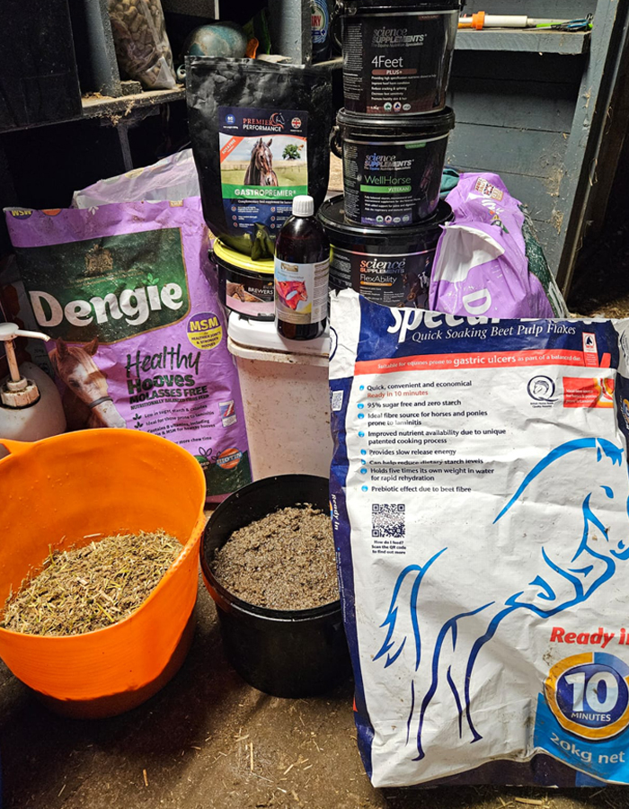 Equine Nutritional Management